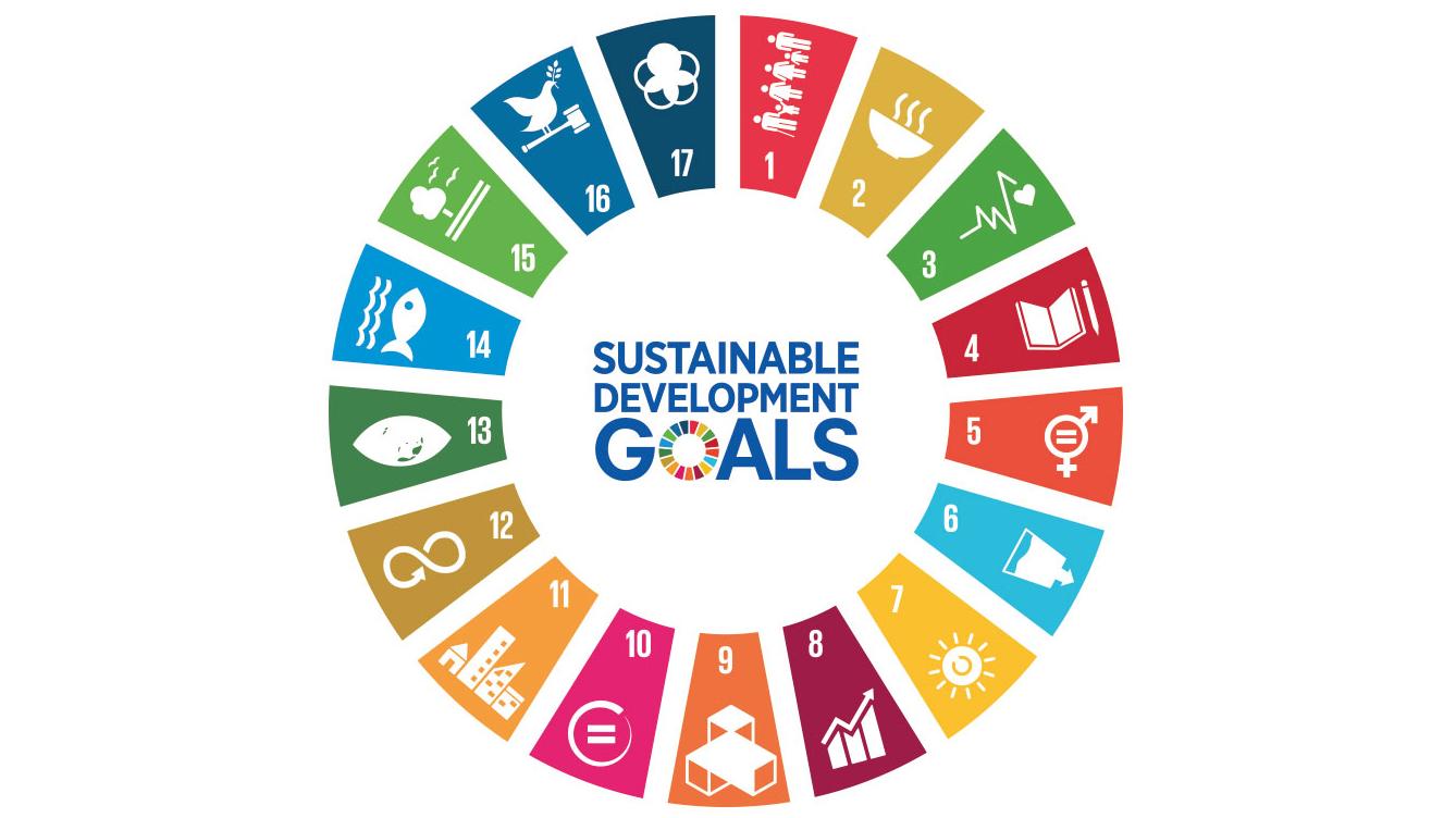 SDG : Sustainable Development Goals