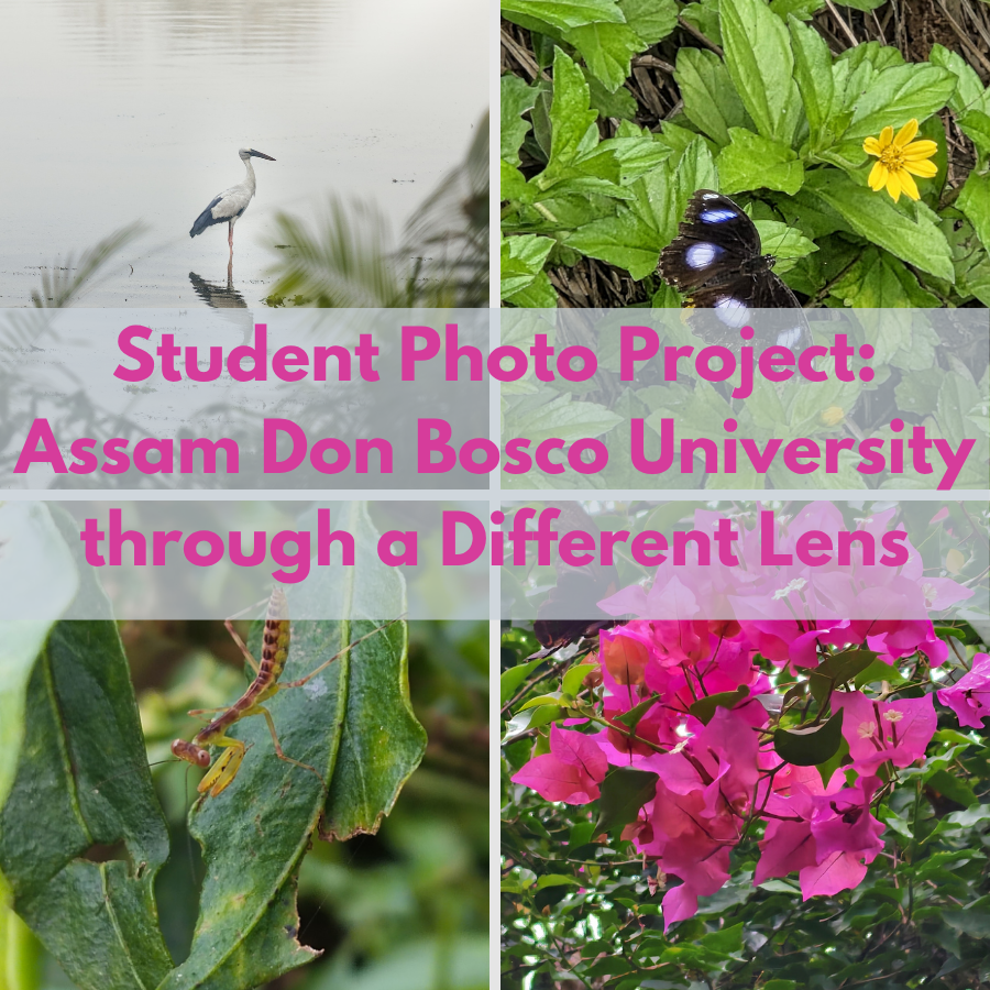photo project