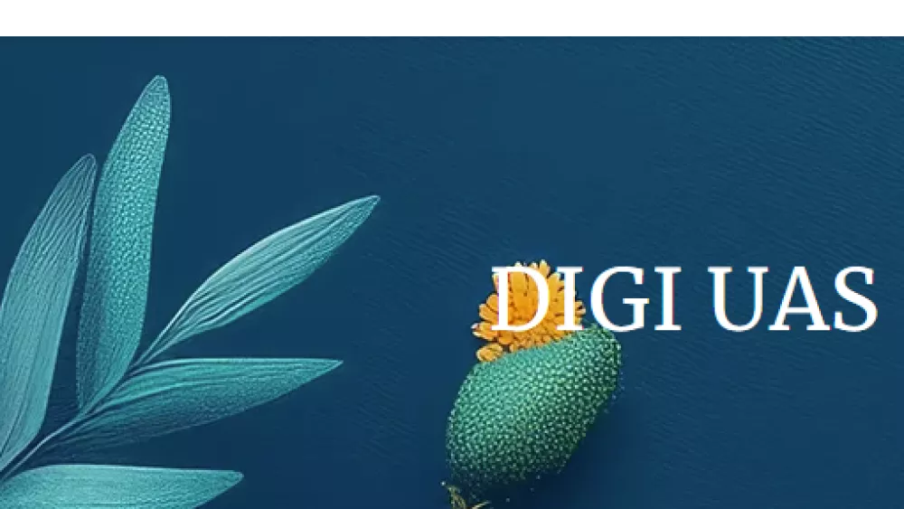 DIGI