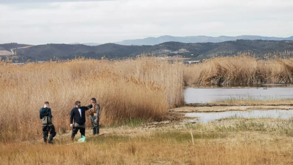 Uvalencia wetlands