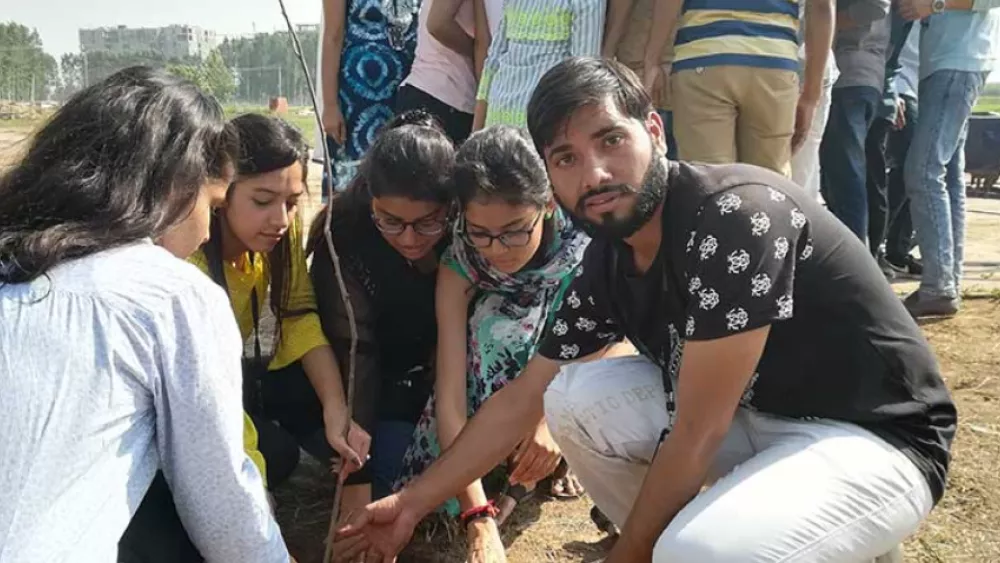 Tree planting