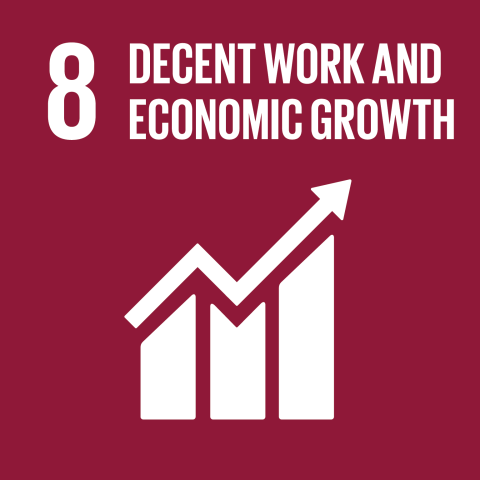 SDG : Decent work & economic growth