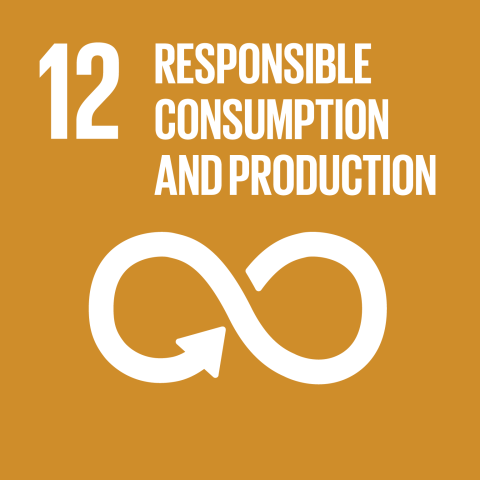 SDG : Responsible consumption & production