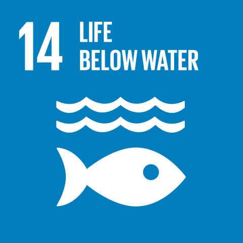 SDG : Life below water