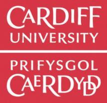 Cardiff University