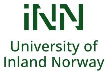 INN Logo
