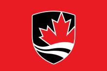 Carelton logo