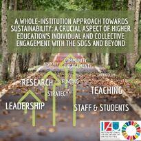 Article SDG 4 image