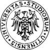 University of Udine